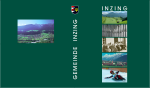 Offizielles Dorfbuch der Gemeinde Inzing